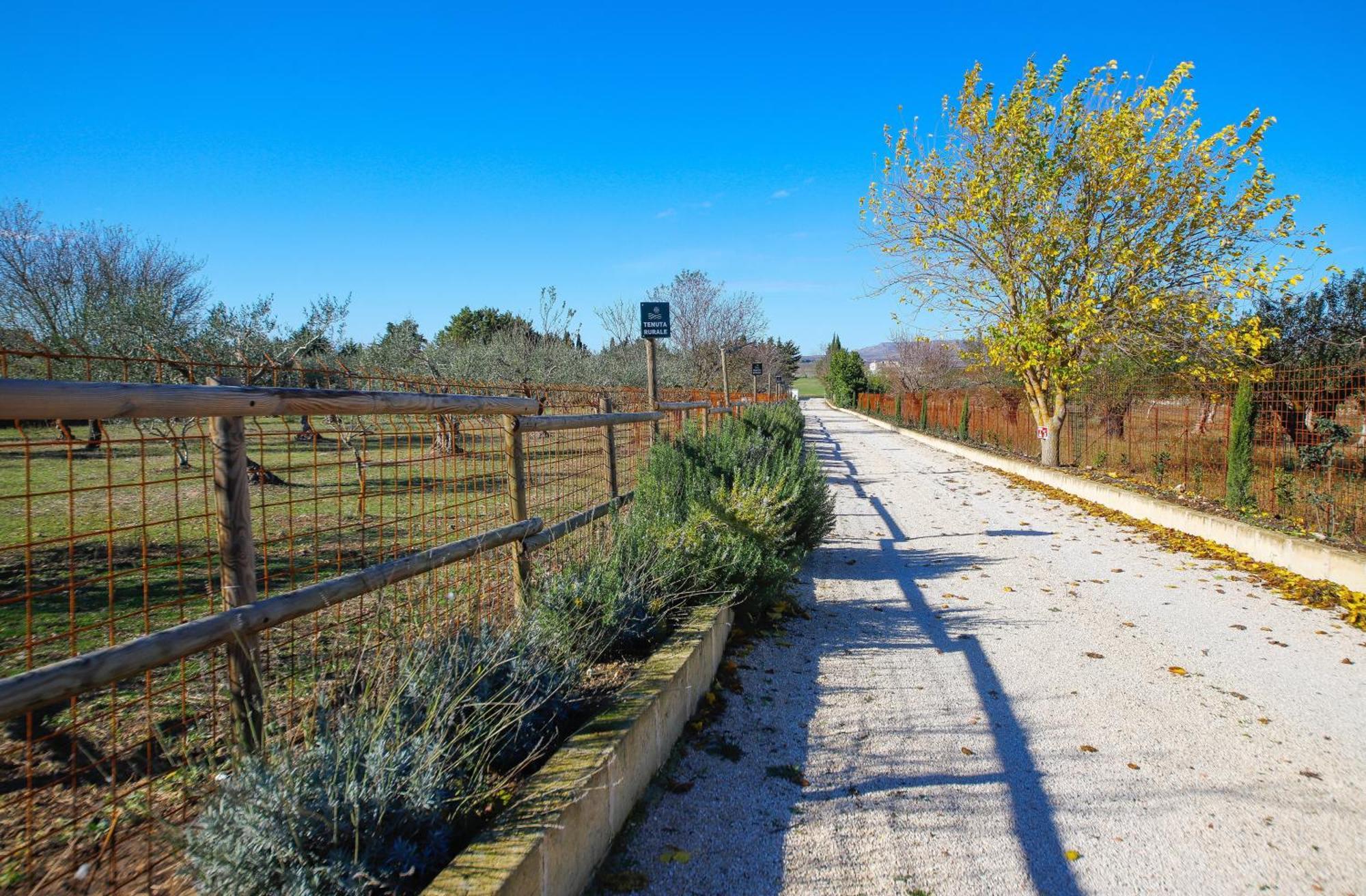 Tenuta Rurale Luxury&Nature Gravina in Puglia Extérieur photo